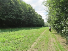 Canal comblé après Grossouvre