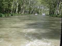 20090423142318-img_1450_0