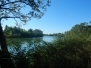 Canal du Rhône à Sète