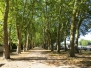 canal lateral a la Loire