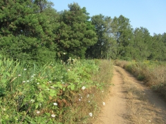2012-07-25-009