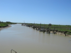 20120502124643-img_1863