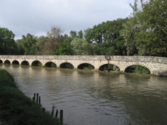 20061002155531-img_5537.jpg