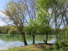 Bord de Saône