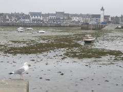 Roscoff