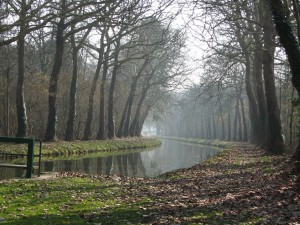 img_1897 img_1897